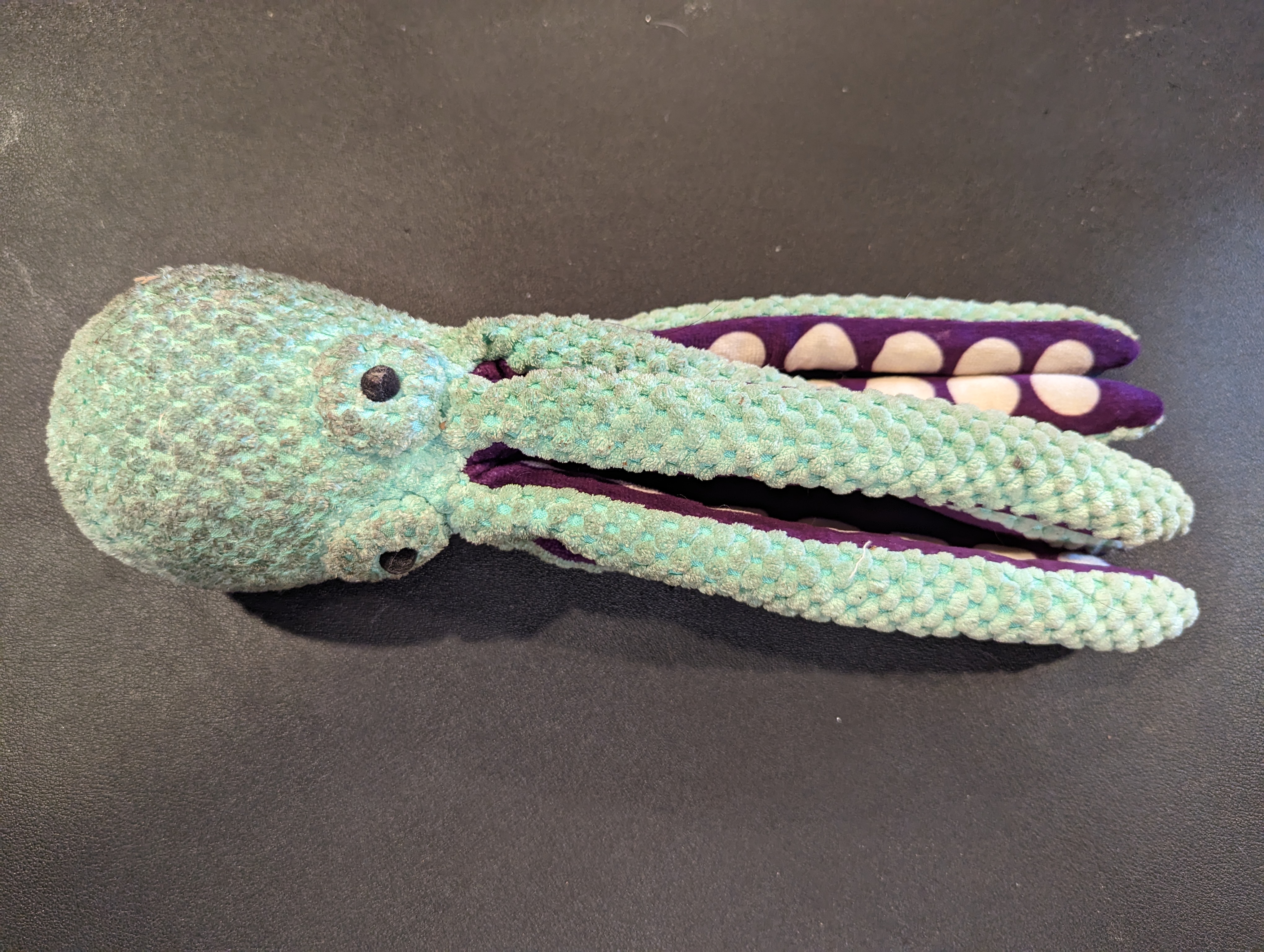 Octopus